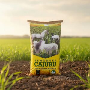 Sementes Brachiaria Ruziziensis 20kg Integração Soja Cafe
