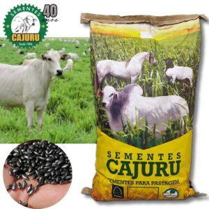 Brachiaria Brizantha Marandu / Braquiarao - 10kg (com grafite)