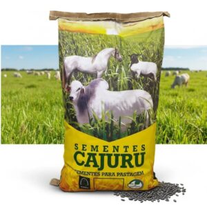 Sementes Brachiaria Ruziziensis 10kg Integração Soja Cafe (com grafite)