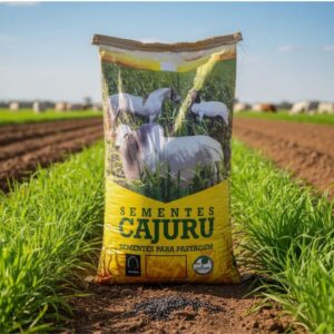 Brachiaria Brizantha Piatã 10 Kg (com grafite)