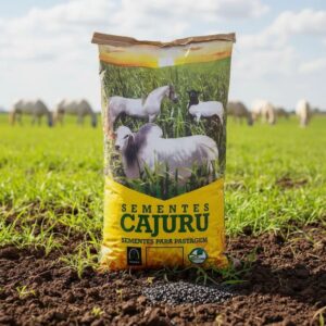 Brachiaria Brizantha (mg-4) - 10 Kg (com grafite)