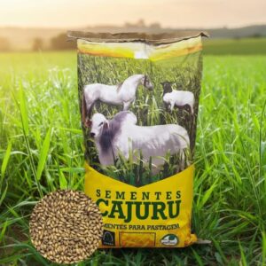 Sementes Brachiaria Ruziziensis 5kg