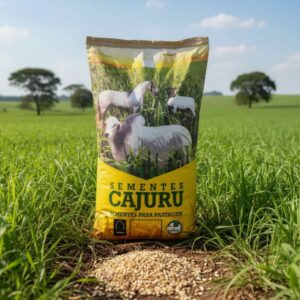 Brachiaria Brizantha Piatã 10 Kg