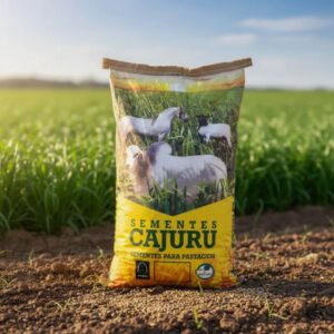 Brachiaria Brizantha (mg-4) - 10 Kg