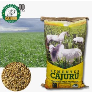 Brachiaria Brizantha Marandu / Braquiarao - 10kg