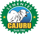 Sementes Cajuru