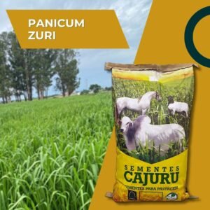 Panicum Zuri- 20 Kg